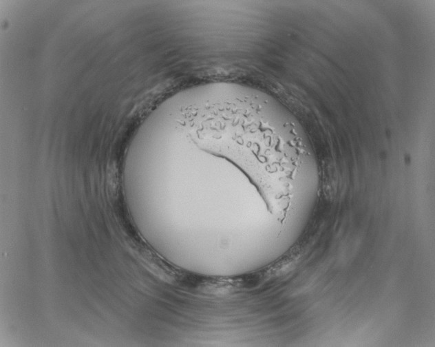 X0000062910563200602101835