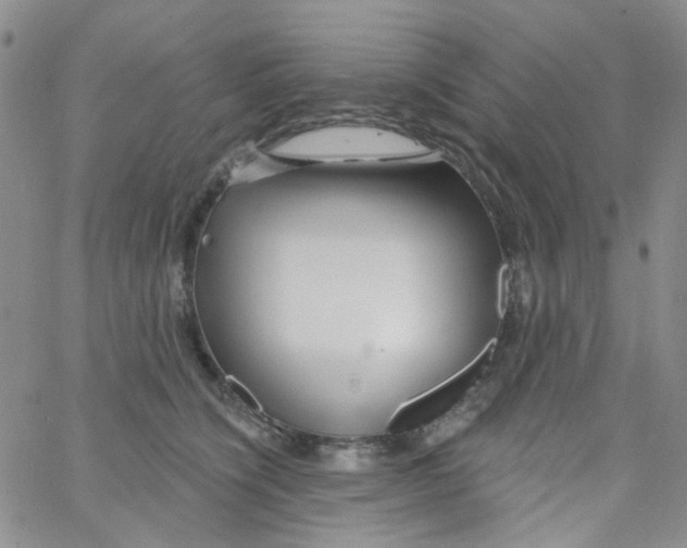 X0000062910564200602101835