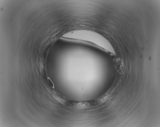 X0000062910566200602101835