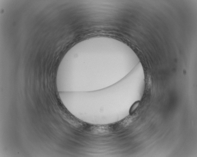 X0000062910567200602101835