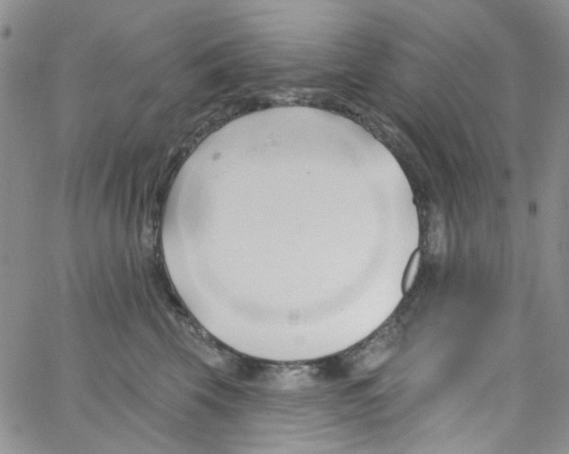 X0000062910569200602101835