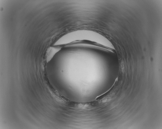 X0000062910570200602101835