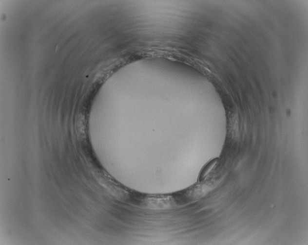 X0000062910571200602101835