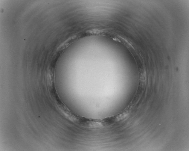 X0000062910572200602101835