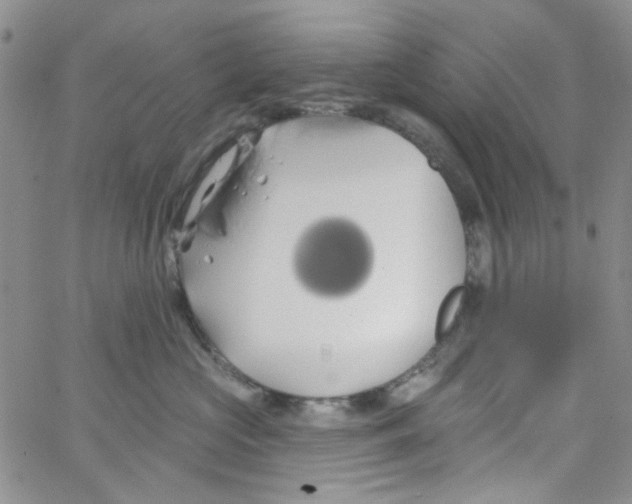 X0000062910573200602101835