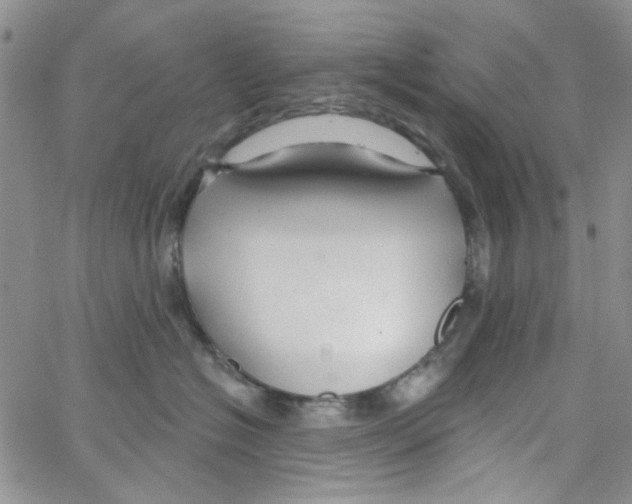 X0000062910574200602101835