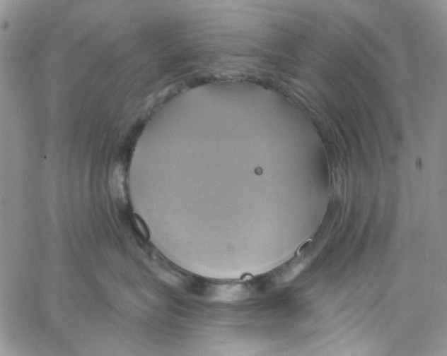 X0000062910575200602101835