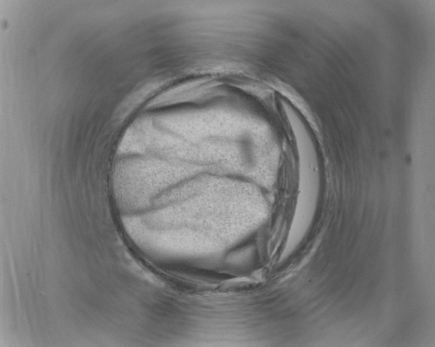 X0000062910577200602101834