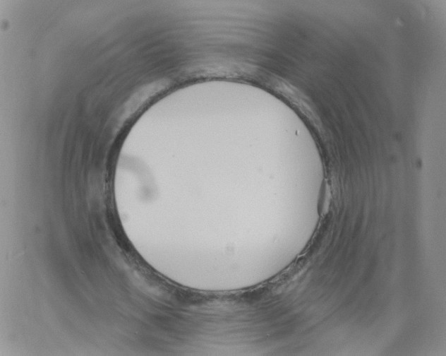 X0000062910578200602101834