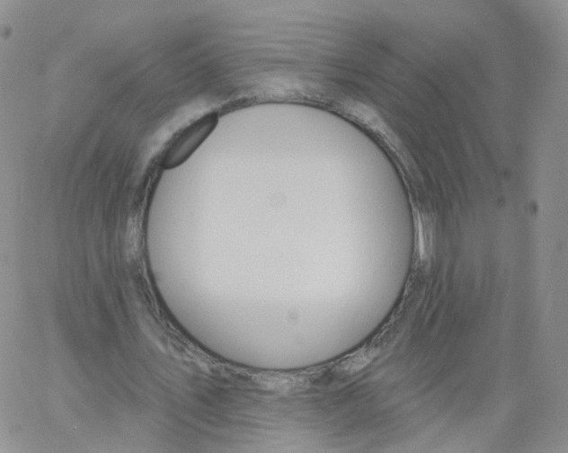 X0000062910579200602101834