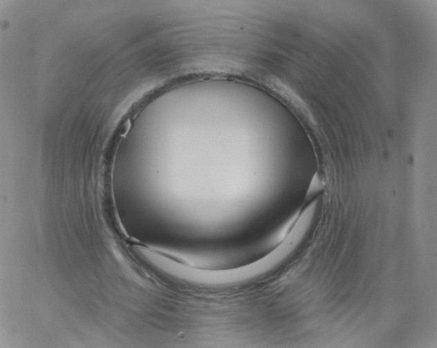 X0000062910580200602101834