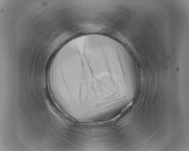 X0000062910582200602101834