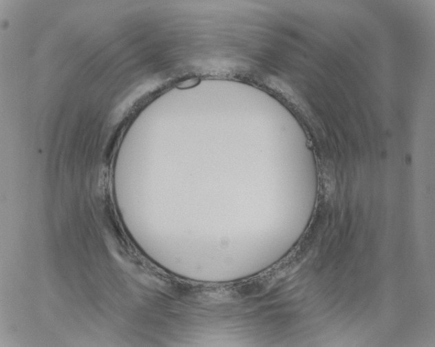 X0000062910583200602101834