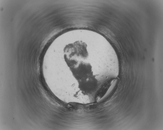 X0000062910584200602101834