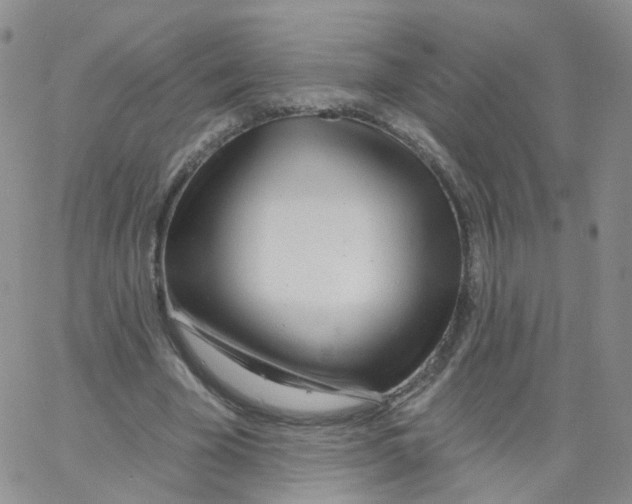 X0000062910585200602101834