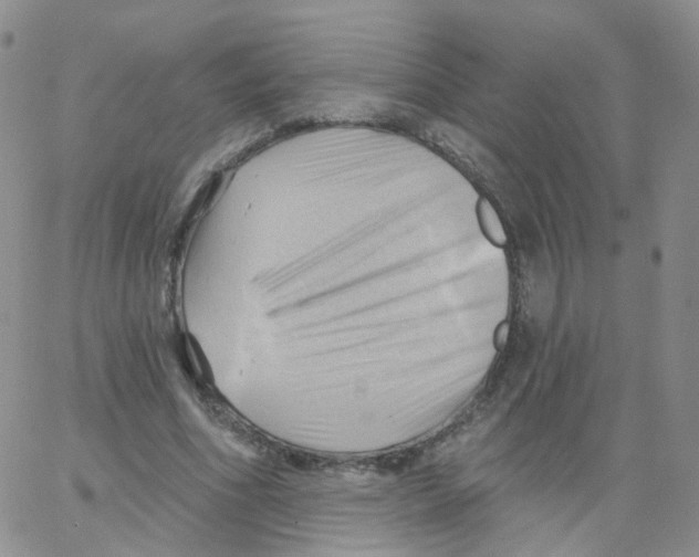 X0000062910586200602101834