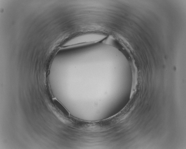 X0000062910589200602101834