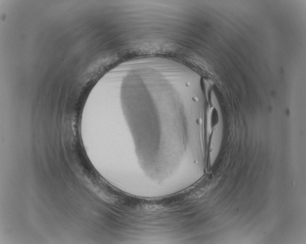 X0000062910590200602101834