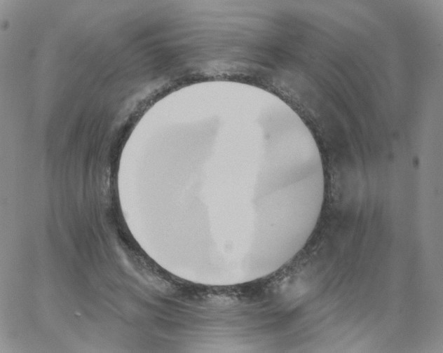 X0000062910592200602101834