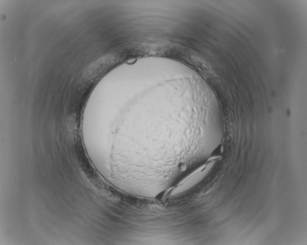 X0000062910594200602101834