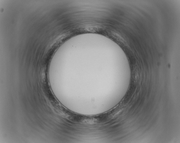 X0000062910595200602101834