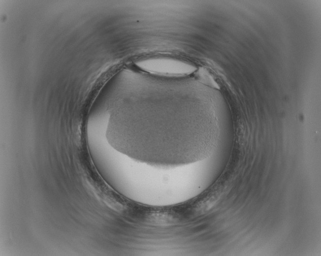 X0000062910596200602101834