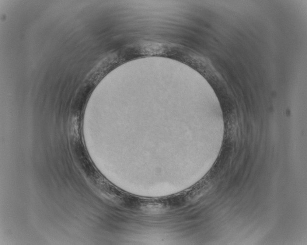 X0000062910598200602101834