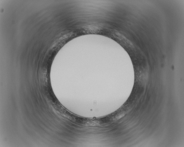 X0000062910599200602101834