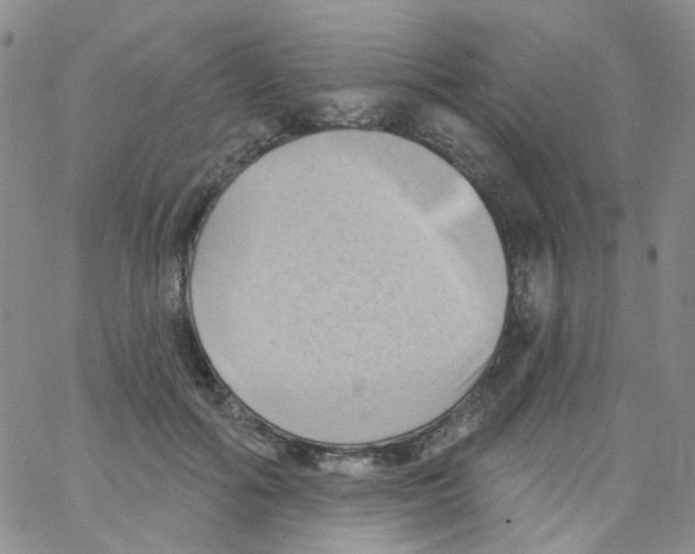 X0000062910602200602101834