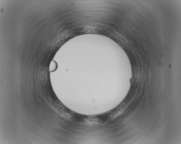 X0000062910603200602101834