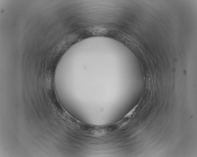 X0000062910604200602101834