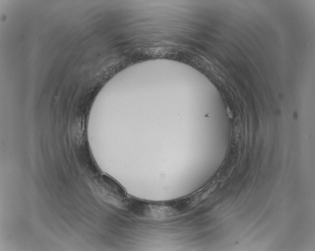 X0000062910605200602101834