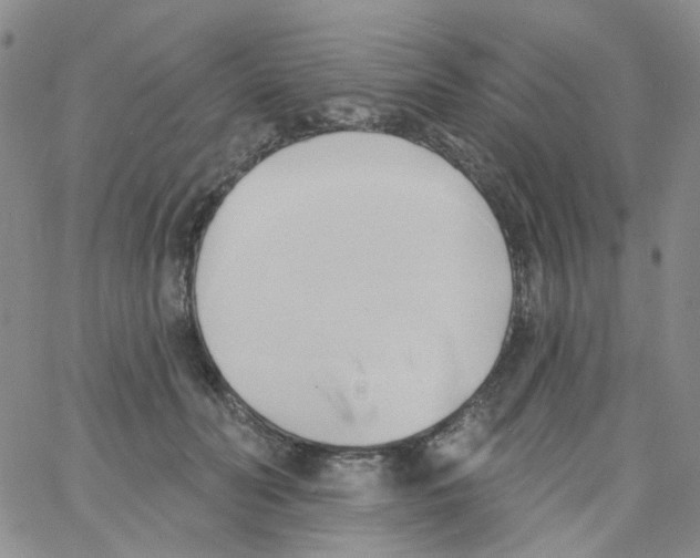 X0000062910606200602101834