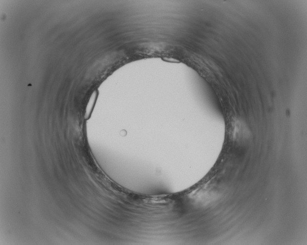 X0000062910607200602101834