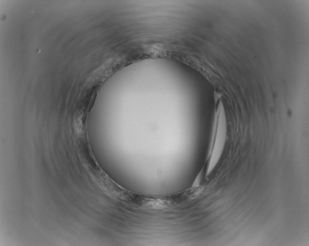 X0000062910611200602101834