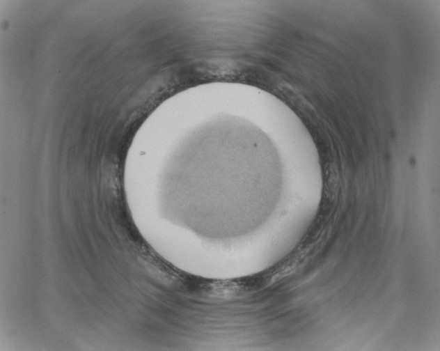 X0000062910612200602101834