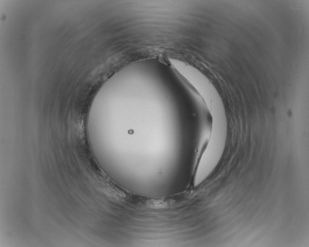 X0000062910613200602101833