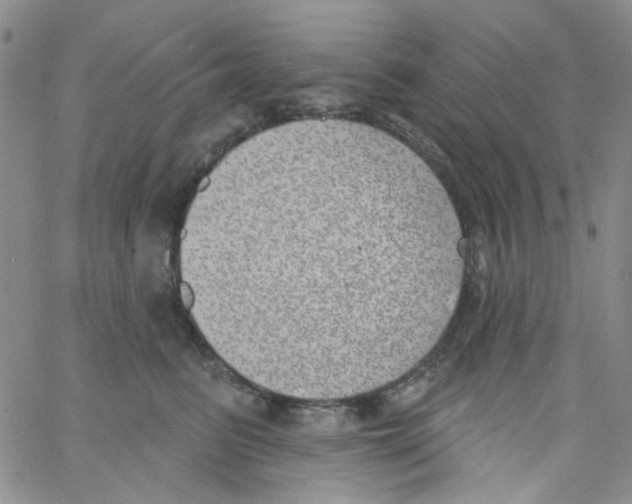 X0000062910615200602101833