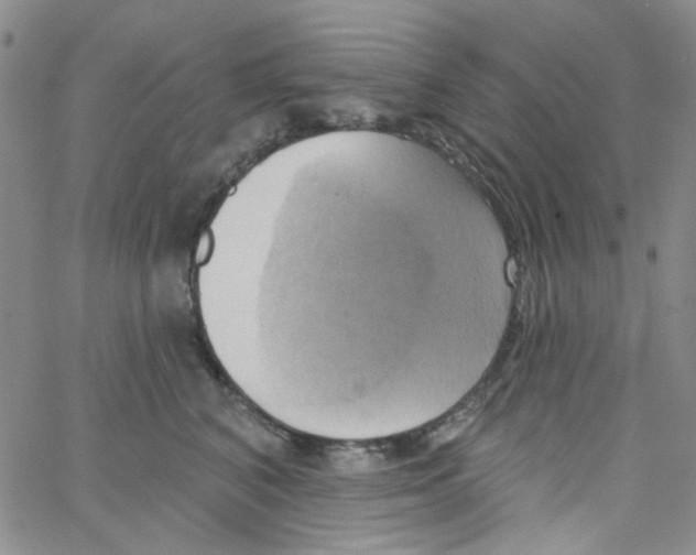 X0000062910616200602101833