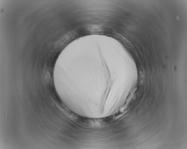 X0000062910618200602101833