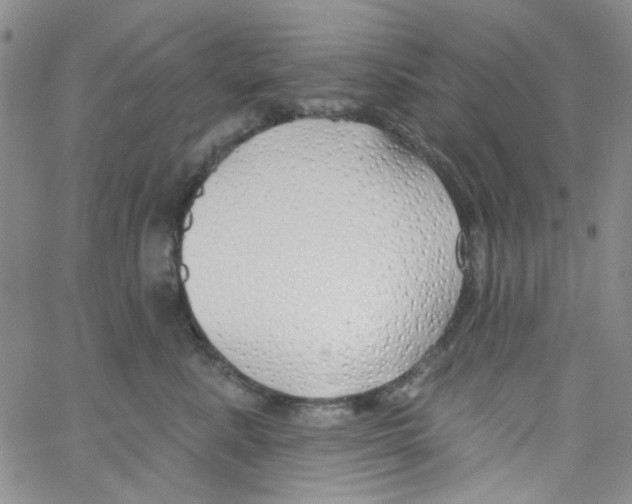 X0000062910619200602101833