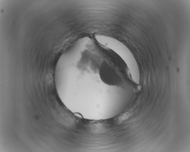 X0000062910620200602101833