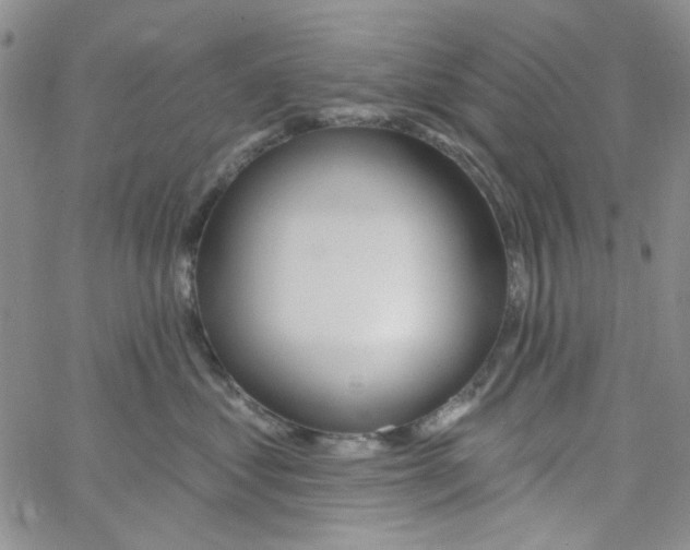 X0000062910621200602101833