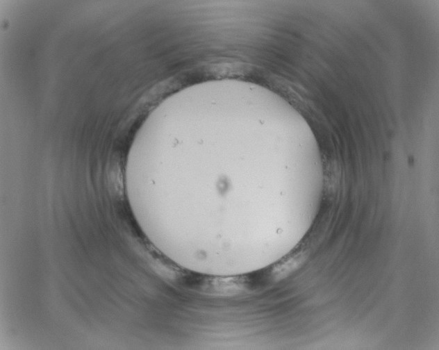 X0000062910622200602101833