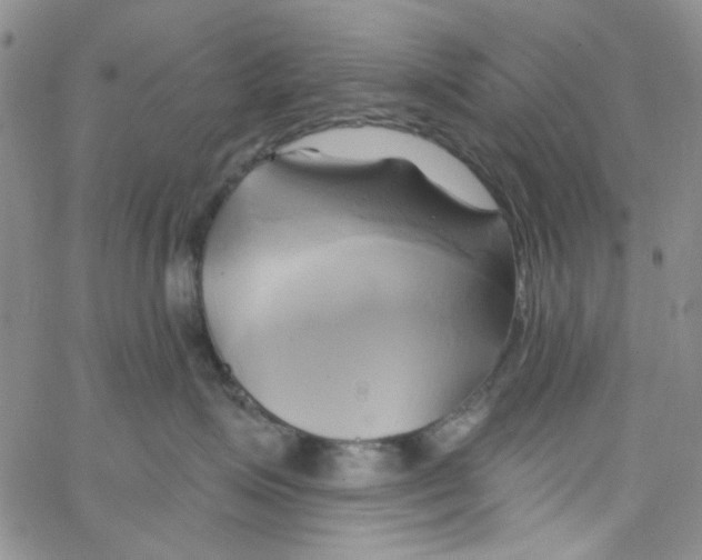 X0000062910623200602101833