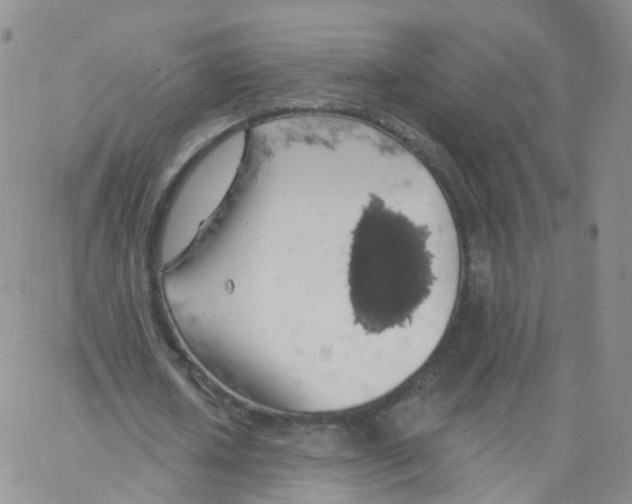 X0000062910626200602101833