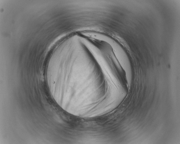 X0000062910628200602101833