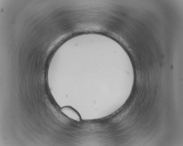 X0000062910629200602101833