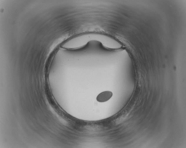 X0000062910630200602101833