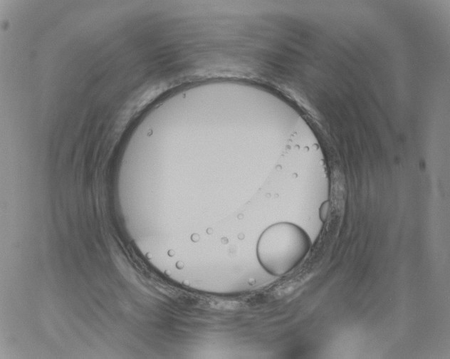 X0000062910631200602101833